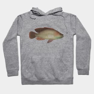 Purpleface Largemouth Hoodie